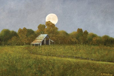 Moonlight by Cheryl Miller Lackey canvas print