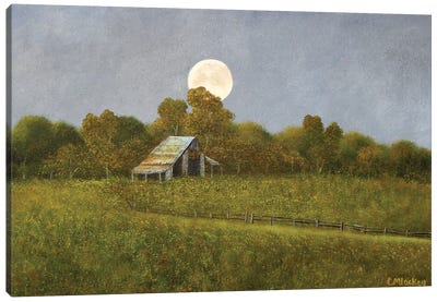 Moonlight Canvas Art Print - Fine Art Meets Folk