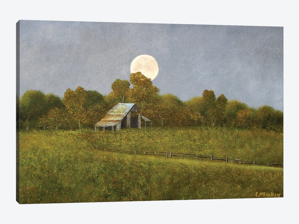 Moonlight by Cheryl Miller Lackey 1-piece Canvas Art Print