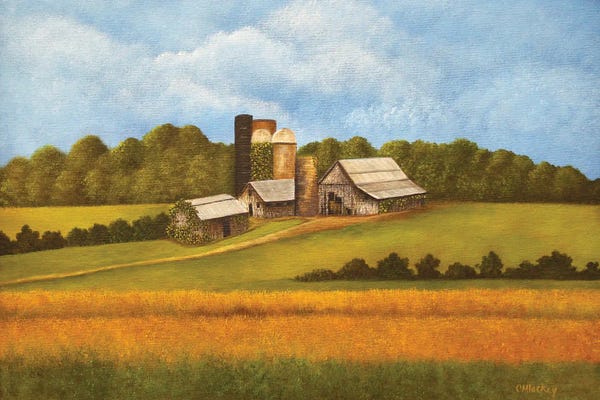 Barns: Across The Field by Cheryl Miller Lackey