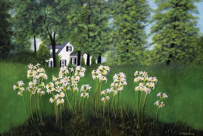 Naked Ladies On Glebe Road by Cheryl Miller Lackey framed canvas print