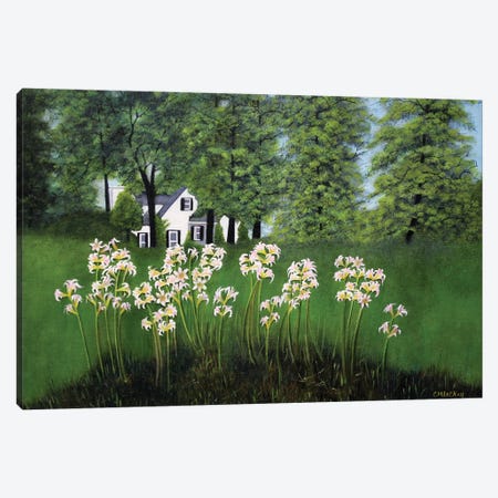 Naked Ladies On Glebe Road Canvas Print #LKY20} by Cheryl Miller Lackey Canvas Art