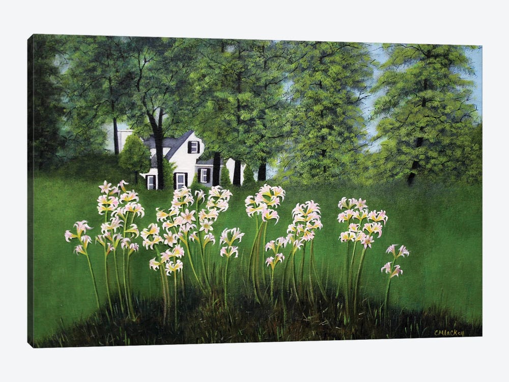 Naked Ladies On Glebe Road by Cheryl Miller Lackey 1-piece Canvas Wall Art