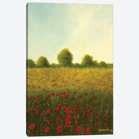 Poppy Field Canvas Print #LKY22} by Cheryl Miller Lackey Canvas Artwork