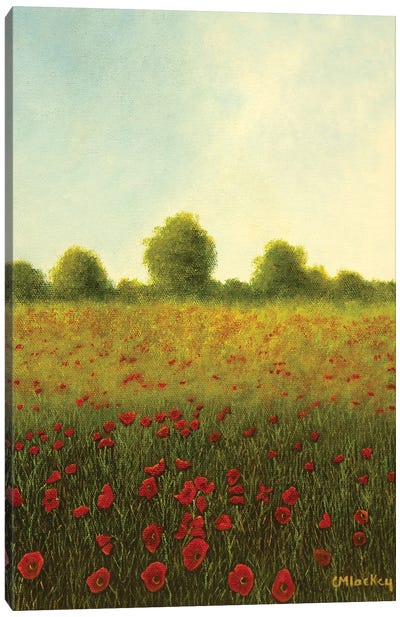 Poppy Field Canvas Art Print - Cheryl Miller Lackey