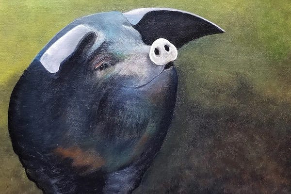 Pigs: Sloppy Joe by Cheryl Miller Lackey