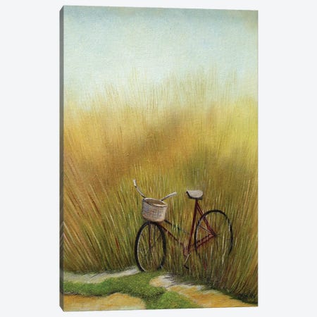 The Bike Trail Canvas Print #LKY33} by Cheryl Miller Lackey Art Print
