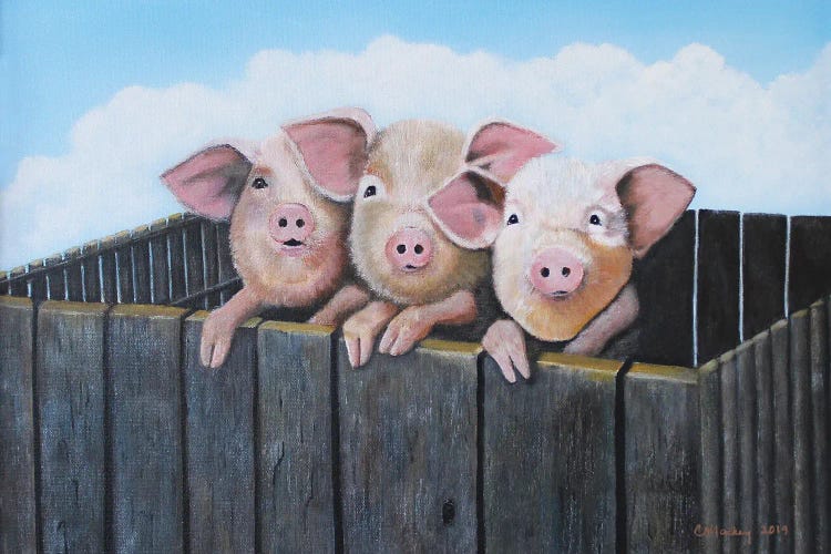 Three Little Pigs