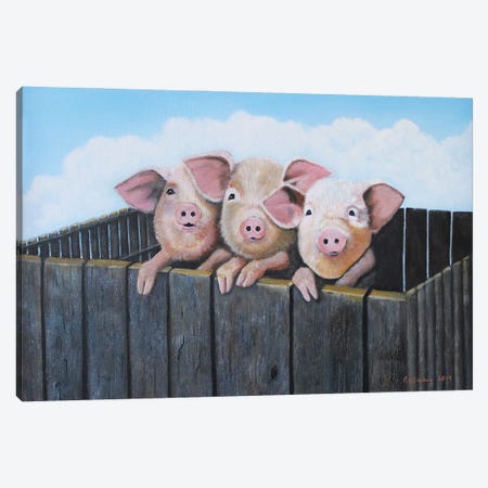 Three Little Pigs Canvas Print #LKY35} by Cheryl Miller Lackey Canvas Wall Art