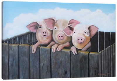 Three Little Pigs Canvas Art Print - Pig Art