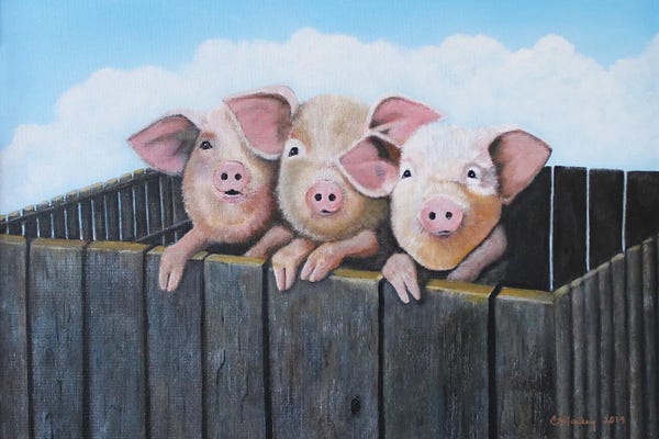Pigs: Three Little Pigs by Cheryl Miller Lackey