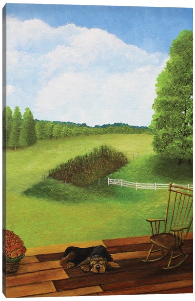 View From The Back Porch Canvas Art Print - Fine Art Meets Folk