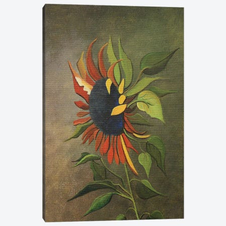 Fall Sunflower Canvas Print #LKY49} by Cheryl Miller Lackey Canvas Art