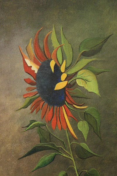 Sunflowers: Fall Sunflower by Cheryl Miller Lackey