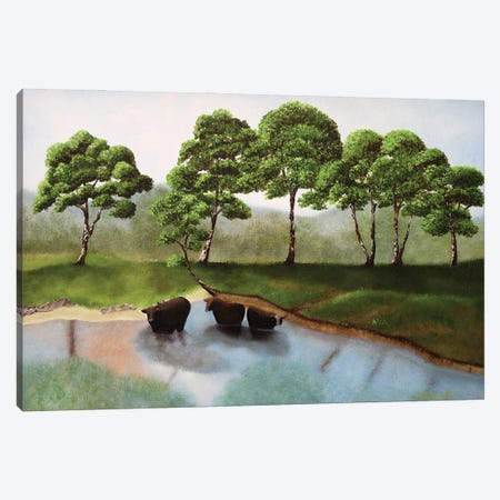 Cattle In The Creek Canvas Print #LKY4} by Cheryl Miller Lackey Art Print