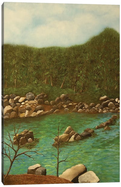 Goshen Pass Canvas Art Print - Virginia Art