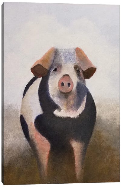 Scruffy Canvas Art Print - Pig Art