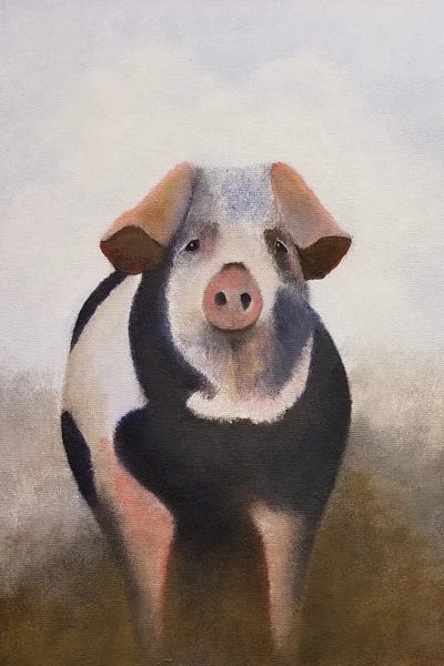 Pigs: Scruffy by Cheryl Miller Lackey