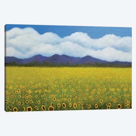Field Of Sunflowers Canvas Print #LKY57} by Cheryl Miller Lackey Canvas Wall Art