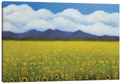 Field Of Sunflowers Canvas Art Print - Cheryl Miller Lackey