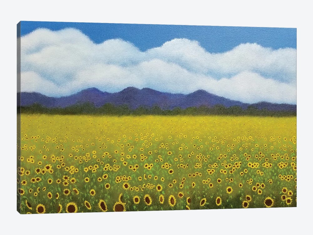 Field Of Sunflowers by Cheryl Miller Lackey 1-piece Canvas Art