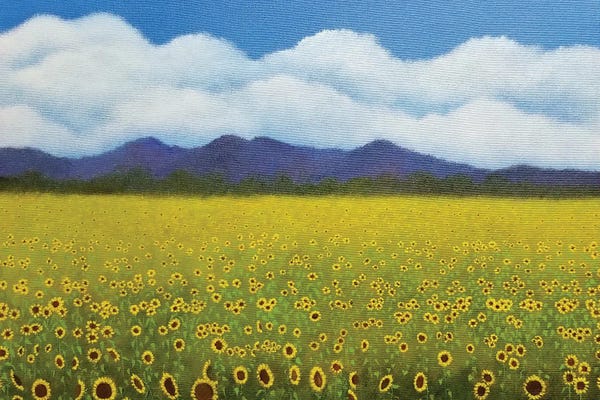 Infinite Landscapes: Field Of Sunflowers by Cheryl Miller Lackey