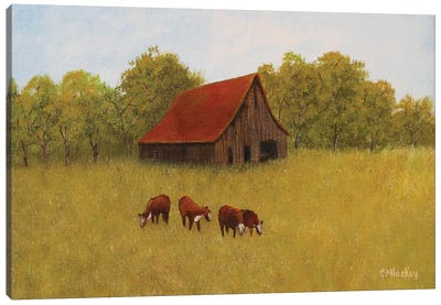 Neighbor's Barn Canvas Art Print - Cheryl Miller Lackey