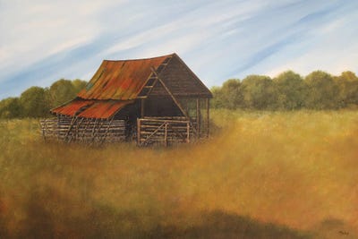 Rough And Rusted by Cheryl Miller Lackey framed canvas print