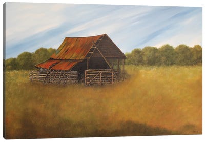 Rough And Rusted Canvas Art Print - Cheryl Miller Lackey