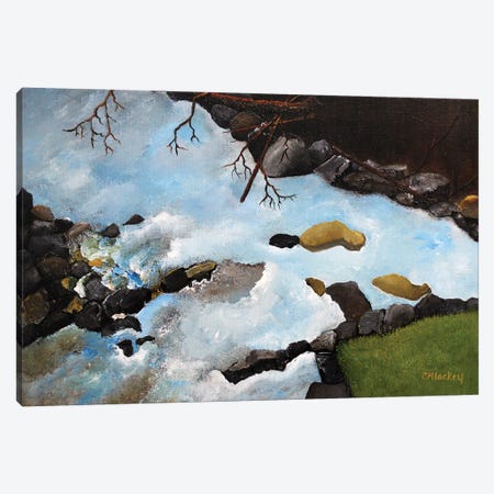 Rushing Water Canvas Print #LKY64} by Cheryl Miller Lackey Canvas Art Print