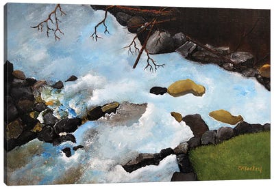 Rushing Water Canvas Art Print - Cheryl Miller Lackey