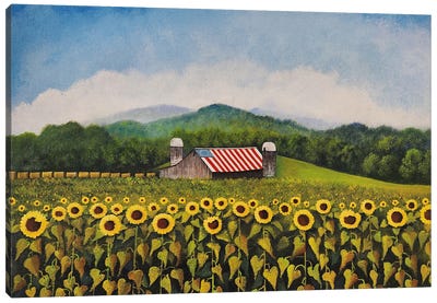 Beaver Dam Farm Canvas Art Print - American Flag Art