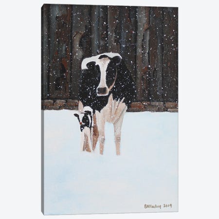 Cow And Calf In The Snow Canvas Print #LKY6} by Cheryl Miller Lackey Canvas Print