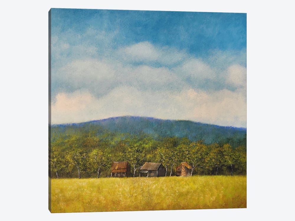 Foot Of The Mountain by Cheryl Miller Lackey 1-piece Canvas Art Print
