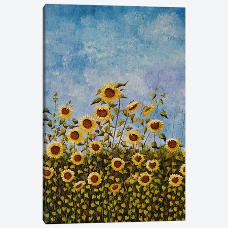 Sunflower Field Canvas Print #LKY76} by Cheryl Miller Lackey Canvas Wall Art