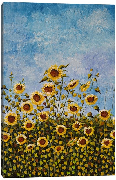 Sunflower Field Canvas Art Print - Cheryl Miller Lackey