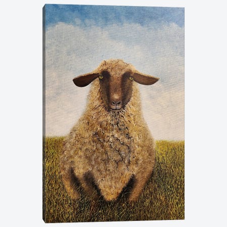 Wooly Canvas Print #LKY77} by Cheryl Miller Lackey Canvas Art
