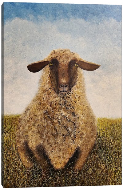 Wooly Canvas Art Print - Cheryl Miller Lackey