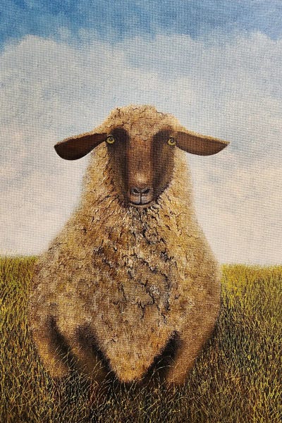 Cheryl Miller Lackey: Wooly by Cheryl Miller Lackey