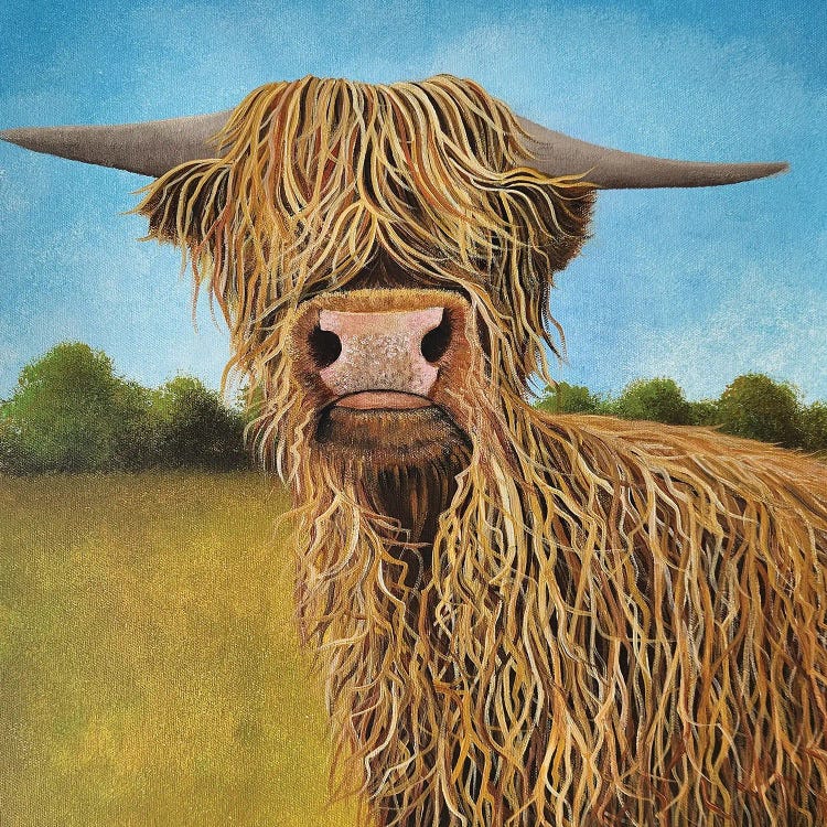 Heilan Coo by Cheryl Miller Lackey wall art