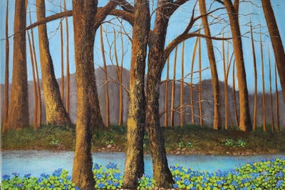 Cheryl Miller Lackey