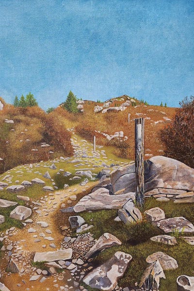Appalachian Mountains: Mt Rogers - Appalachian Trail by Cheryl Miller Lackey