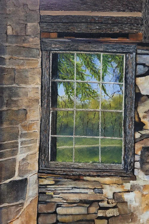 Reflection In An Old Cabin Window
