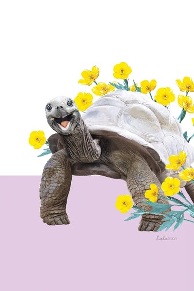 Turtles: So Safari Land Tortoise by Lola Design