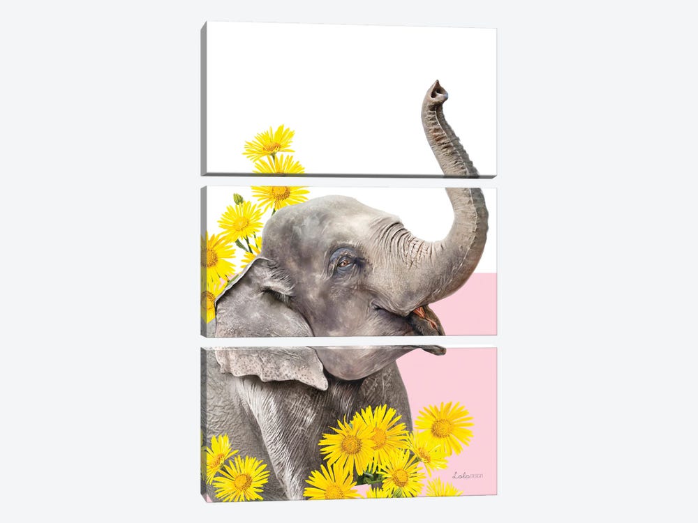 So Safari Elephant by Lola Design 3-piece Canvas Art