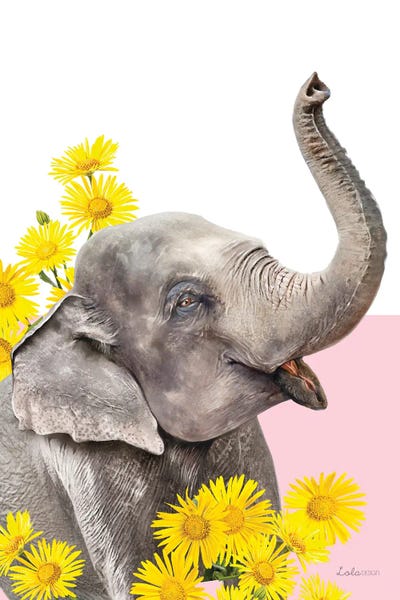 Elephants: So Safari Elephant by Lola Design