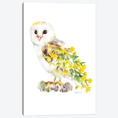 Wildlife Botanical Barn Owl Canvas Print #LLG21} by Lola Design Art Print