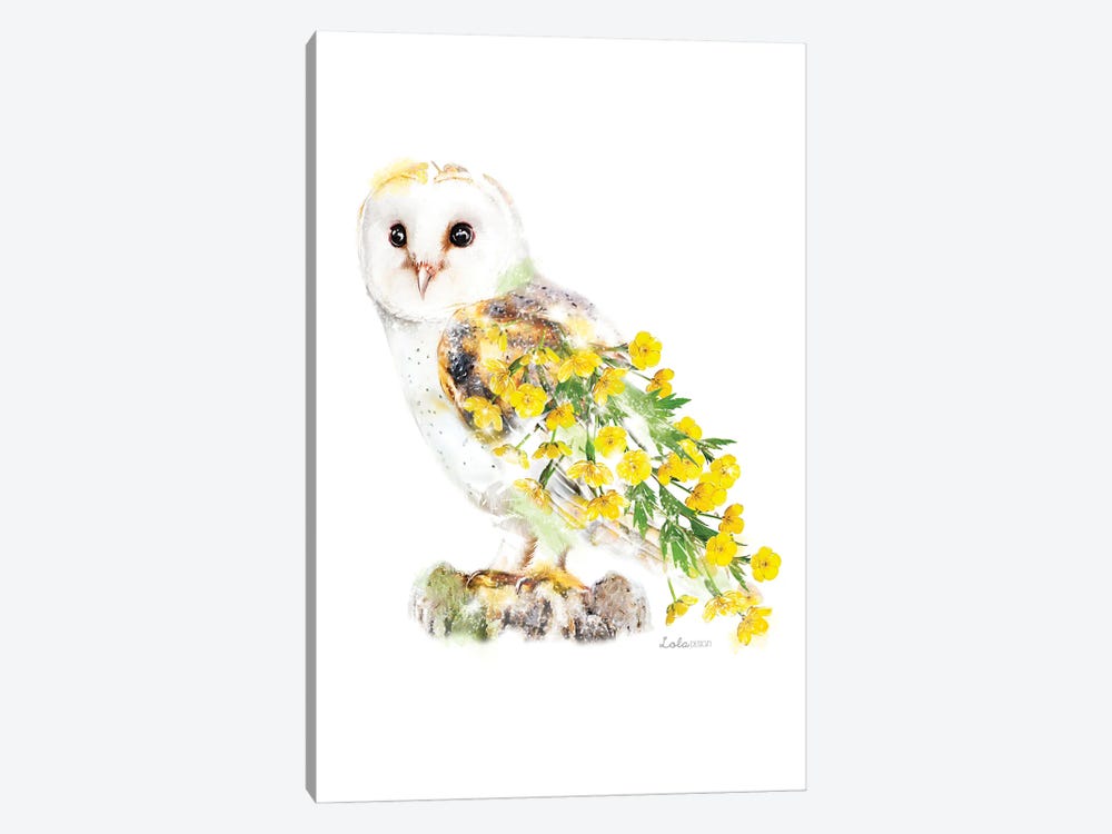 Wildlife Botanical Barn Owl by Lola Design 1-piece Canvas Art Print