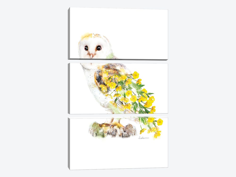 Wildlife Botanical Barn Owl by Lola Design 3-piece Art Print