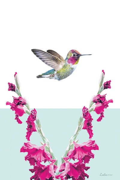 Hummingbirds: So Safari Hummingbird by Lola Design